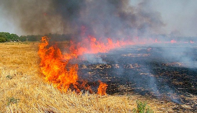 farm fires