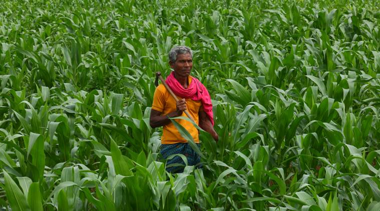 NGOs for Farmer