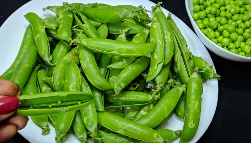 इस तरह से मटर के छिलको का इस्तेमाल करे