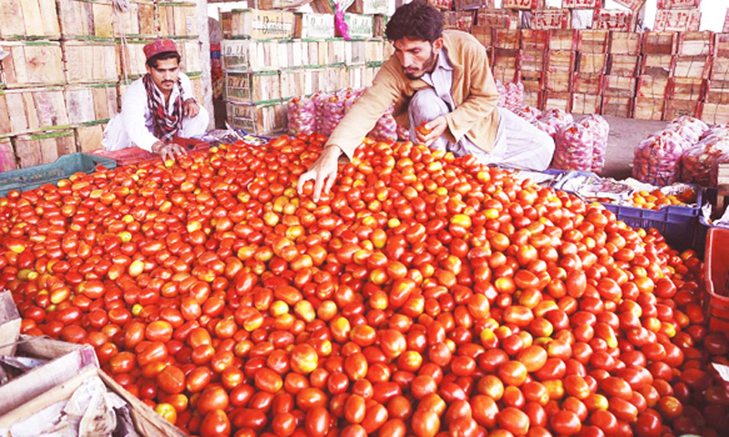 पाकिस्तान