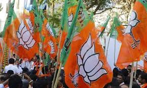 भाजपा और उसके सहयोगी दल