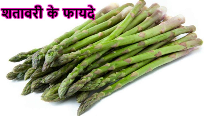 शतावरी के फायदे
