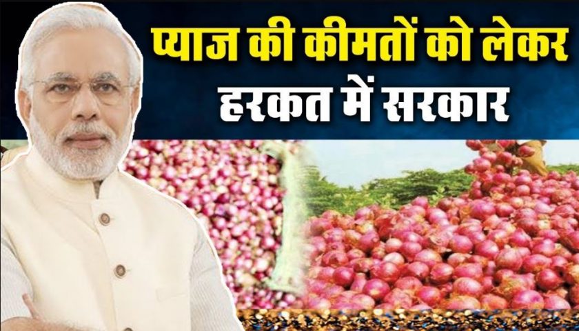 प्याज संकट पर सरकार