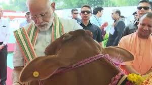 पशु रोग उन्मूलन