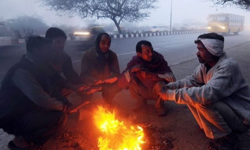 राजधानी लखनऊ में पड़ रही कड़ाके की ठंड, चिड़ियाघर में लगाए गए हीटर
