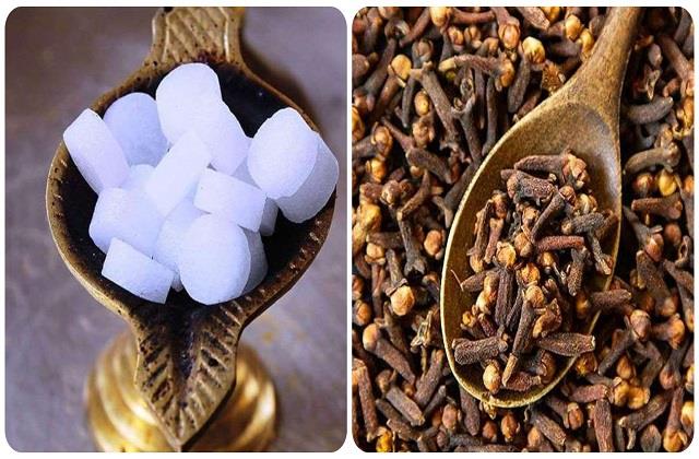 लौंग और कपूर जानियें क्यों फायदेमंद होता है, माना जाता है लाभकारी