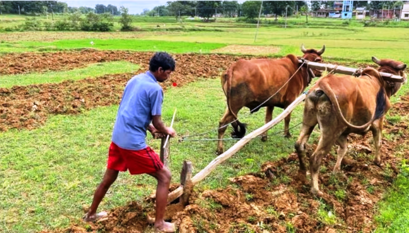 जल्दी किसानों की बनेगी फार्मर्स आईडी, ले सकेंगे इसका लाभ, जानियें