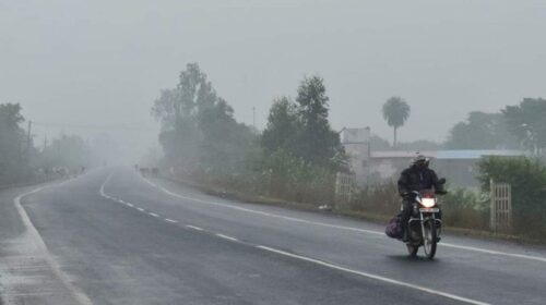 यूपी में जारी हुआ कोहरे का अलर्ट, पड़ेगी कड़ाके की ठंड, पढ़िये
